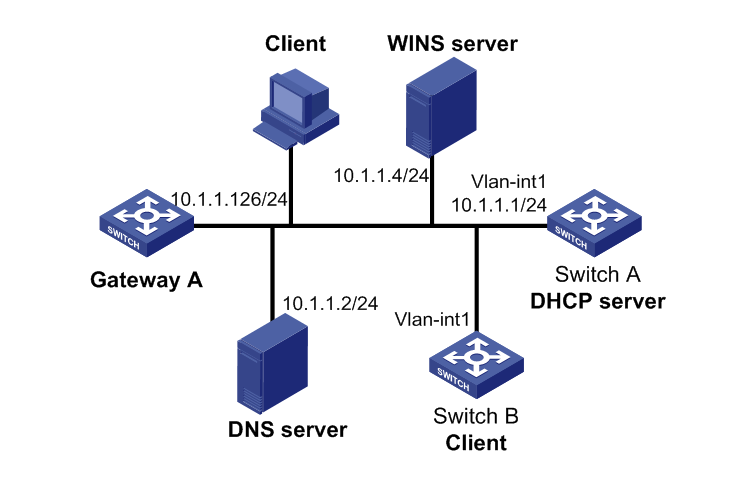 networks ip address assignment