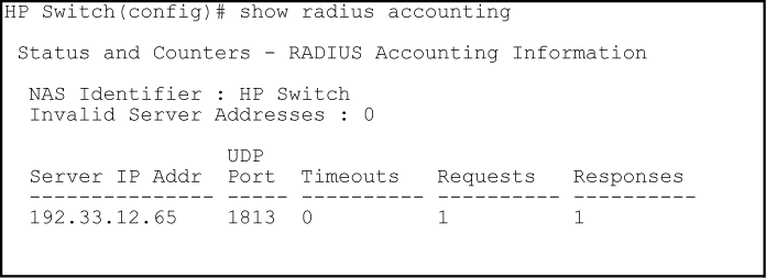 RADIUS accounting information for a specific server