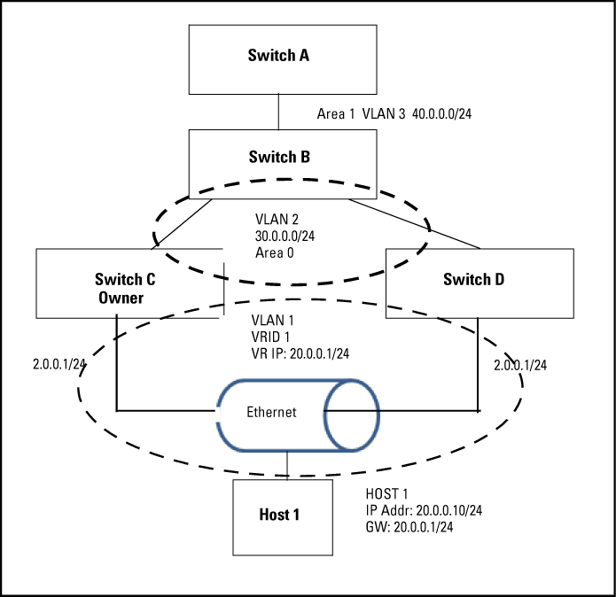 Example of nonstop routing configuration