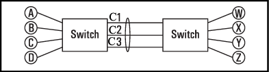 Example of port-trunked network