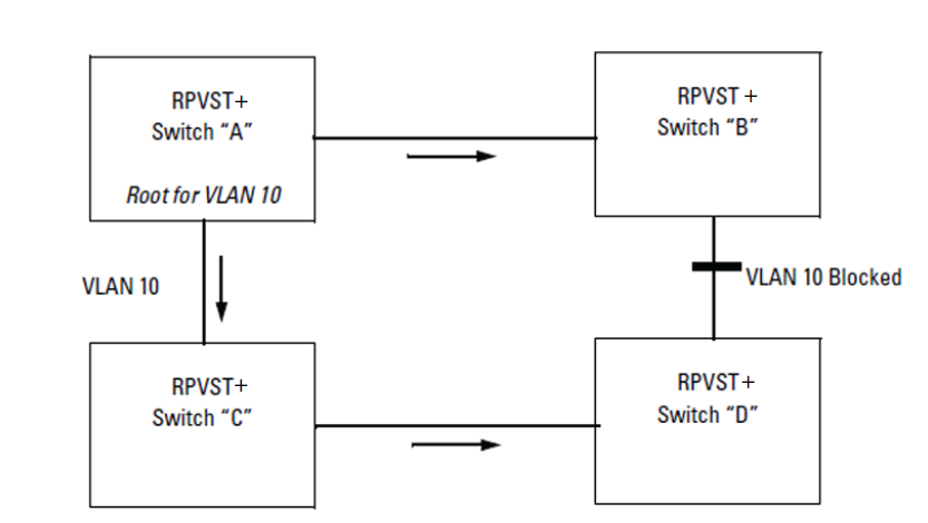 RPVST+ creating a spanning tree for VLAN 10