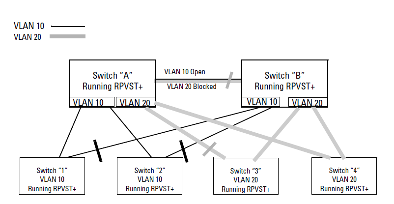 Sample RPVST+ networkspanning treeRPVST+sample network