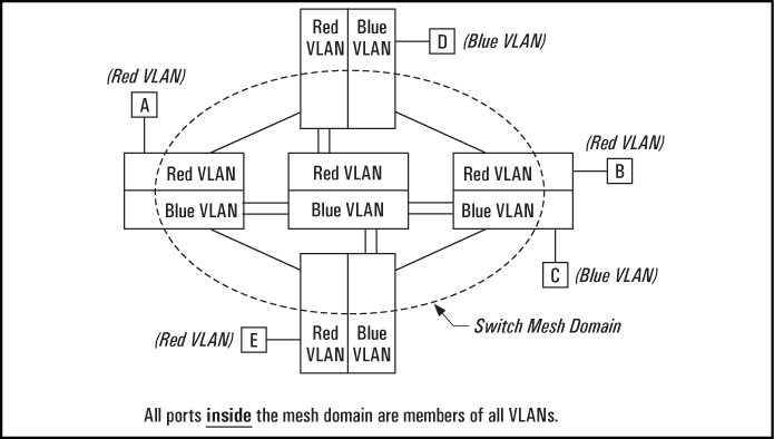 VLAN operation with a switch mesh domain