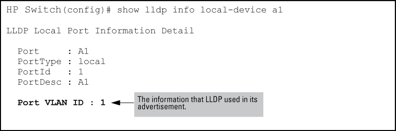Example of local device LLDP information