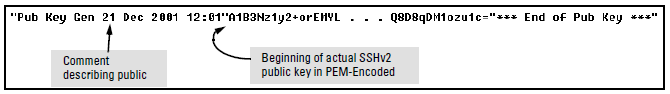 Public key in PEM-encoded ASCII format common for SSHv2 clients