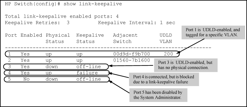 Example: of show link-keepalive command