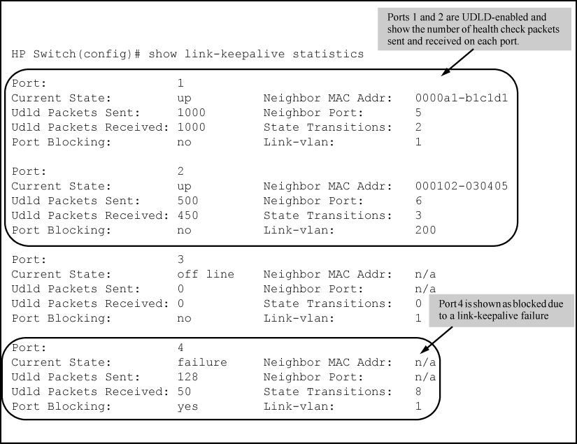 Example: of show link-keepalive statistics command
