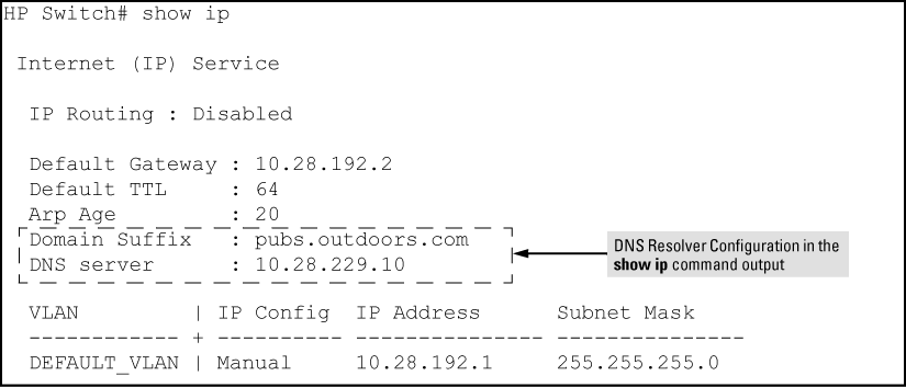 Example: of viewing the current DNS configuration