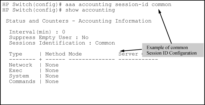 Accounting configured for the common option