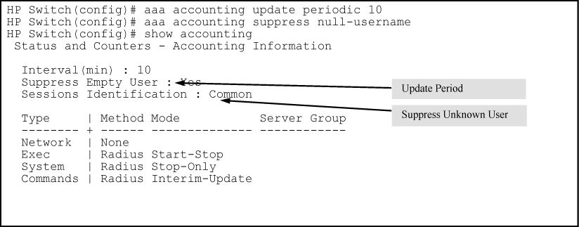 Example of optional accounting update period and accounting suppression on unknown user