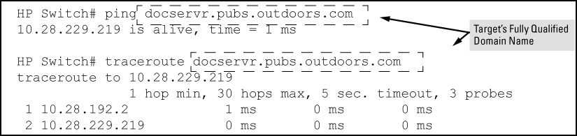 Example: of ping and traceroute execution when only the DNS server IP address is configured