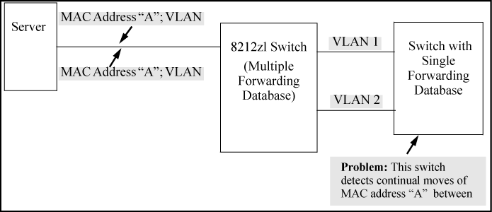 Example: of duplicate MAC address