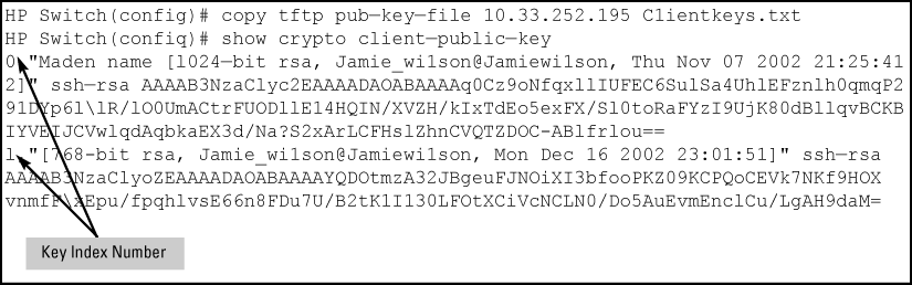 Copying and displaying a client public-key file containing two different client public keys for the same client